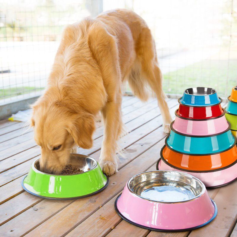 2021 Stainless Steel Color Spray Paint Pet Dog Bowls Puppy Cats Food Drink Water Feeder Pets Supplies Non Slip Feeding Dishes From Andyandcandy 2 12 Dhgate Com 2021 Stainless Steel Color Spray Paint Pet Dog Bowls Puppy Cats Food Drink Water Feeder Pets Supplies Non Slip Feeding Dishes From Andyandcandy 2 12 Dhgate Com