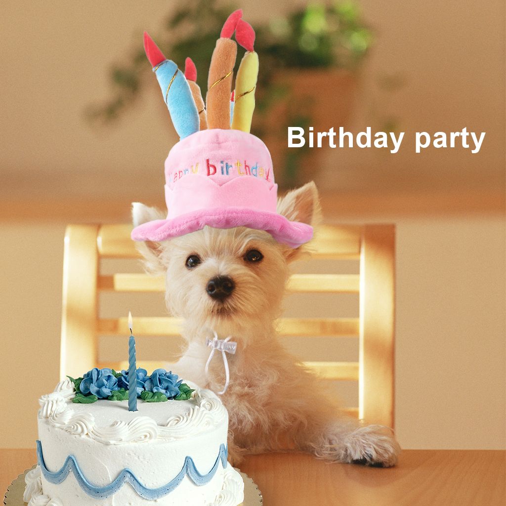Rose Chapeau De Lanimal Domestique Chien Anniversaire Chapeau Joyeux Anniversaire Party Design Chapeau Pour Chiens Petits Animaux Animaux De Compagnie Jeux Et Jouets Zwembaddebeemd Nl Rose Chapeau De Lanimal Domestique Chien Anniversaire Chapeau Joyeux Anniversaire Party Design Chapeau Pour Chiens Petits Animaux Animaux De Compagnie Jeux Et Jouets Zwembaddebeemd Nl