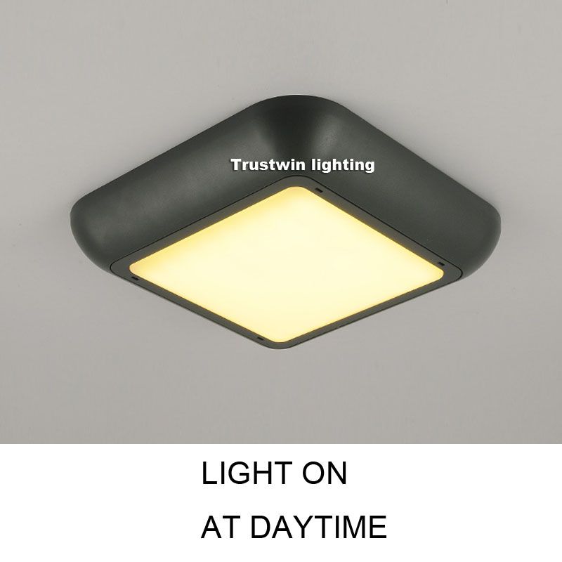 Big Square Modern Outdoor Waterproof Ceiling Light Lamp Gas Station Bathroom Led Light Balcony Wall Modern Led Ceiling Light Canada 2019 From