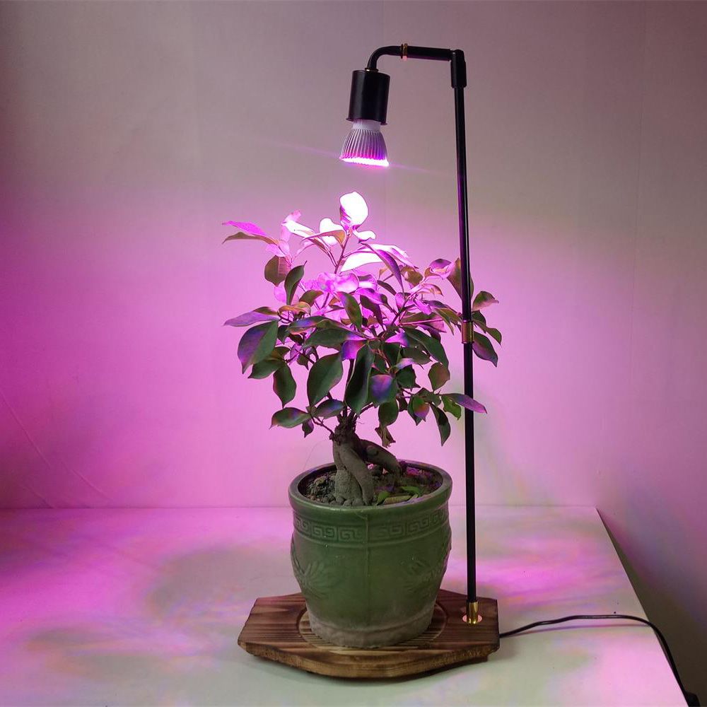 desk grow lamp