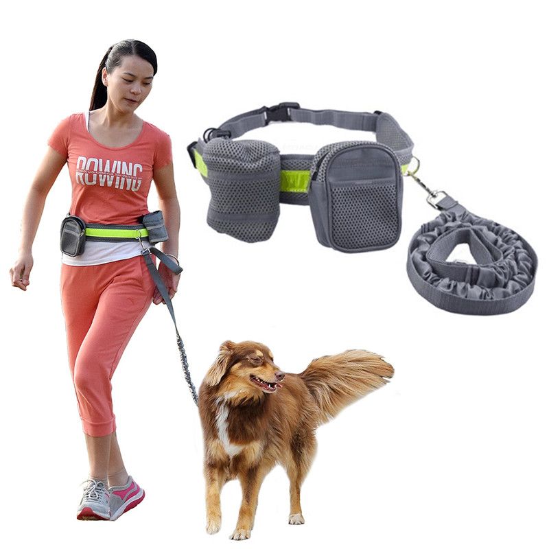 waist dog leash