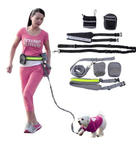 fanny pack dog leash