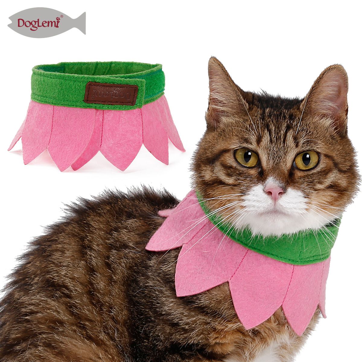 cat handkerchief collar