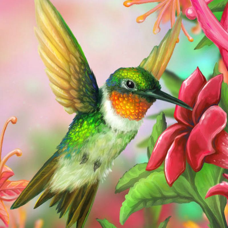 Colibri картины по номерам