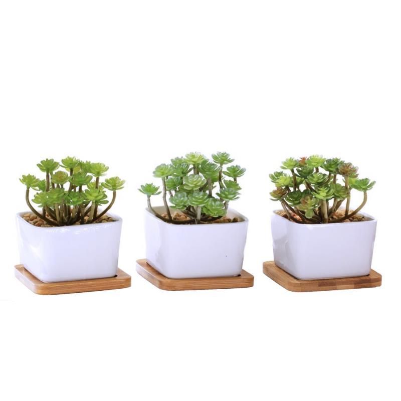 3 Pcs Assorted Verde Artificial Suculento Plantas Falso Deserto Cacto  Echeveria Plantas Sem Flor Faux Suculento