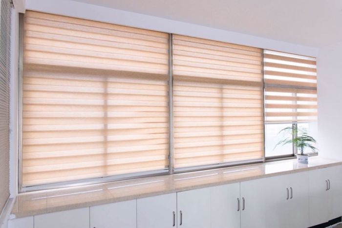 Window Curtain Zebra Roller Blinds For Kitchen Living Room Office Roller