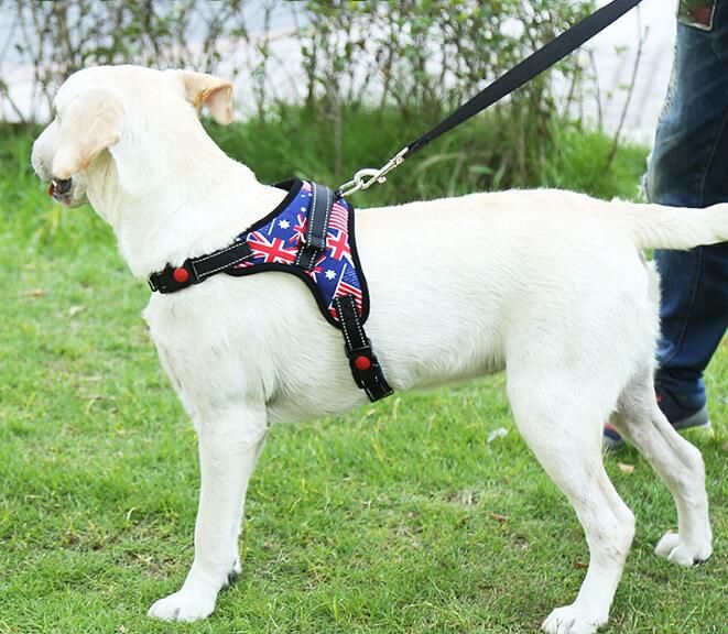 Small And Medium Sized Dog Kolkie Labrador Large Dog Pet Chest Belt
