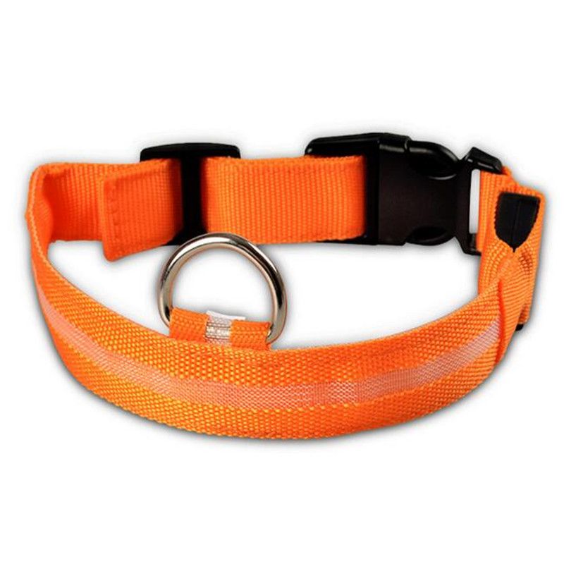 PetSafe LED Nylon Collar Night Safety Flashing Light Up Cat/Dog Collar