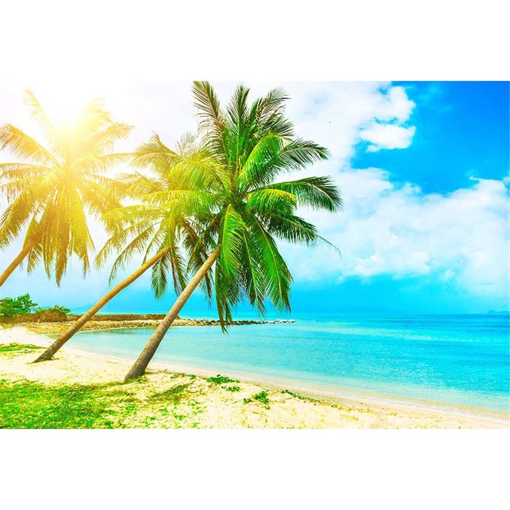 Seaside Scenery Background 15x10ft Summer Holiday Polyester Photography Backdrop Crystal Clear Sea Blue Sky Tropical Beach Coconut Palm Tree Wooden Bridge Nature Studio Photo Prop Decor Video