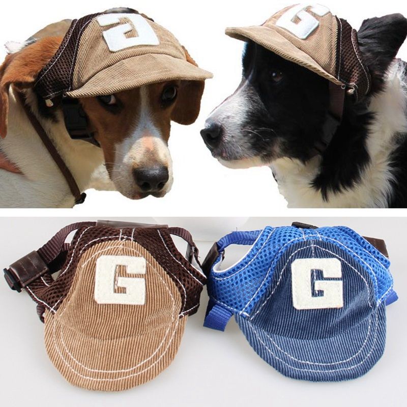 baseball caps for dogs