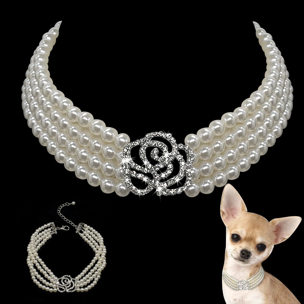 pearl dog collar