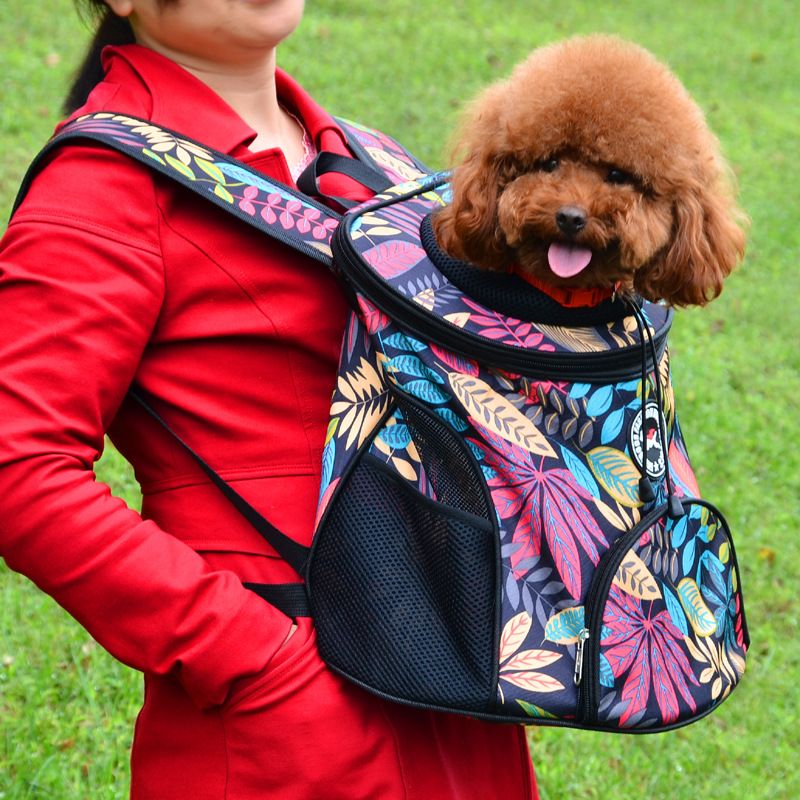 dog carrier front pack
