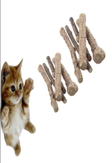 catnip chew sticks