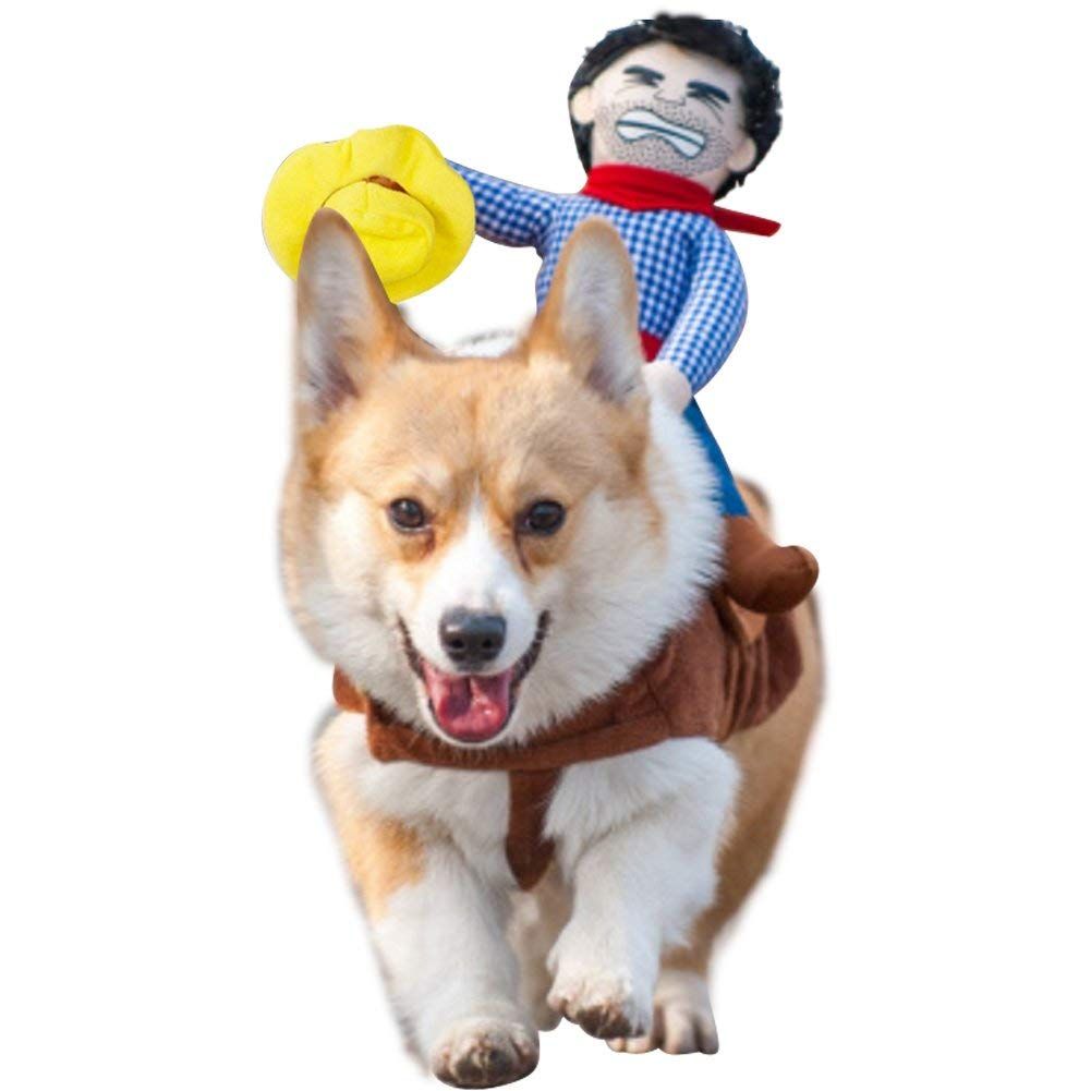 Dog knight costume top