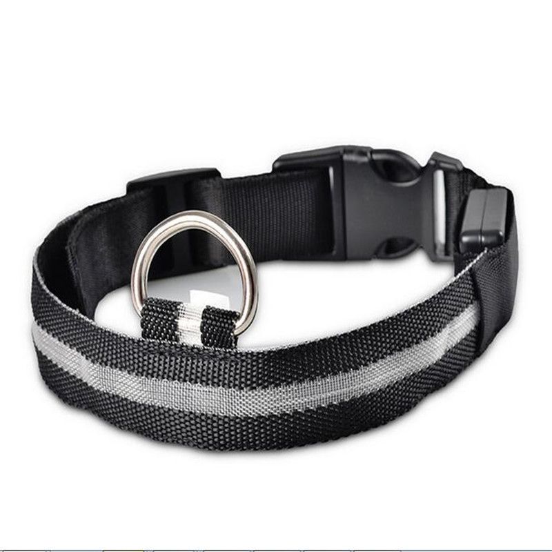 PetSafe LED Nylon Collar Night Safety Flashing Light Up Cat/Dog Collar