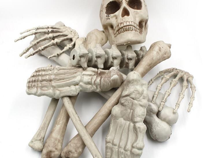 Halloween Skeleton Skeleton Skeleton 12 Human Skeleton Haunted House Room Decoration Model Mummy Props Lifelike Reality Australia 2019 From
