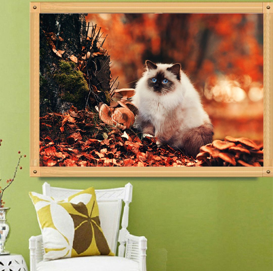 Compre Bosque Nocturno Blanco Gato Persa Diy Diamante 5d Tejido