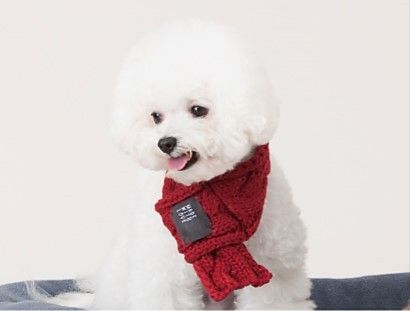 small dog scarf