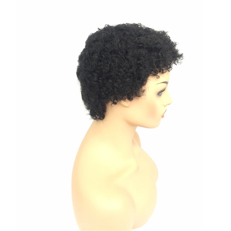 Afro Kinky Curly Short Hairstyles Bob Wig Virgin Brazilian Short Bob Human Hair Wigs Pixie Human Hair Wigs For Black Women Pink Wigs For Sale Auburn Wig From Callyhair 45 64 Dhgate Com