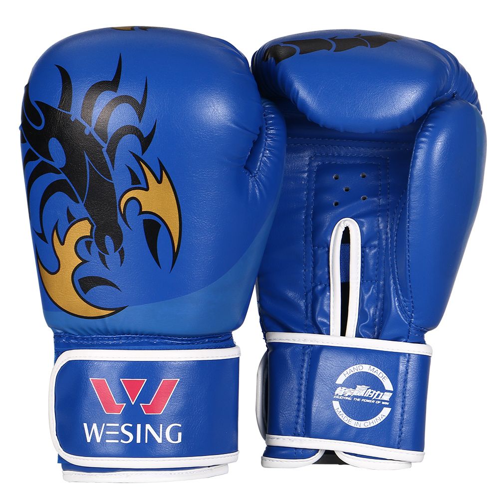 boxing equipment & accessories