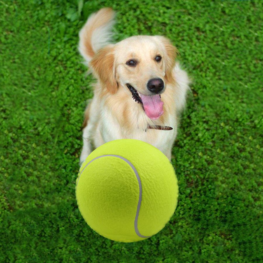 giant tennis ball for dogs