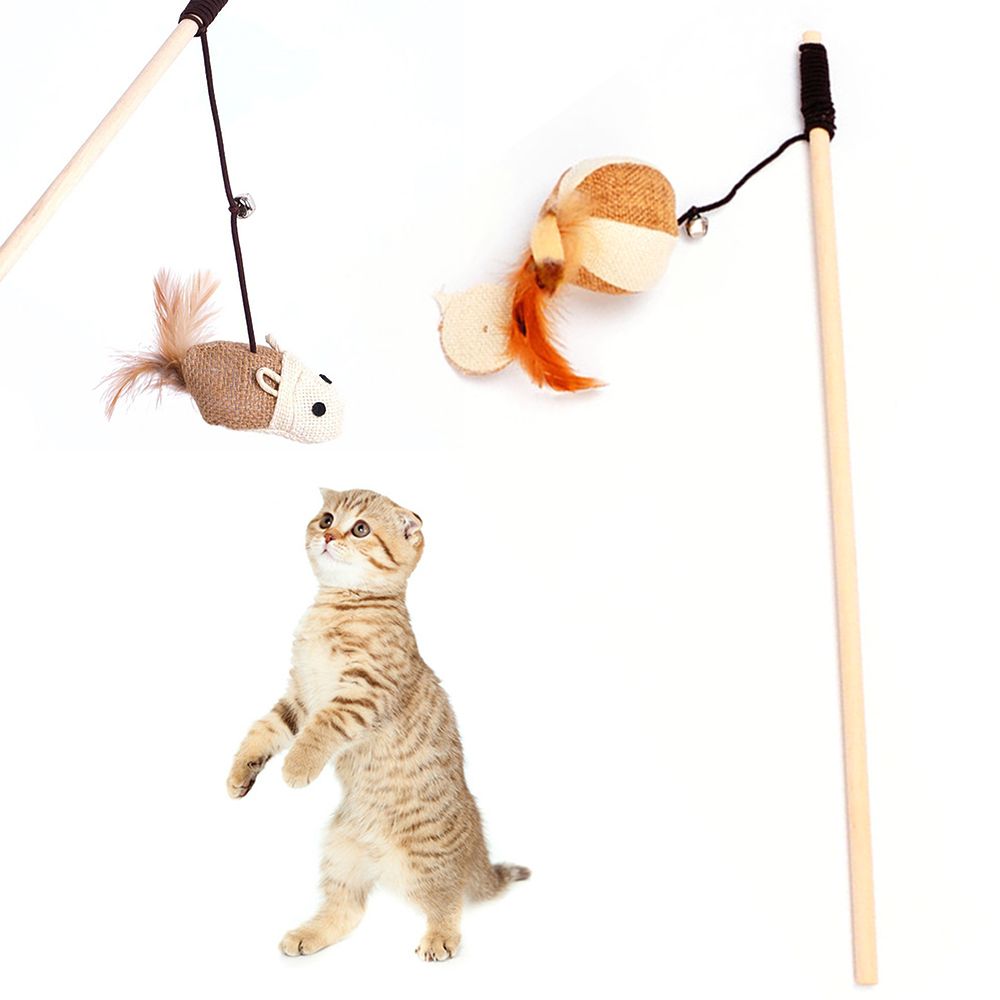 cat toy string on a stick