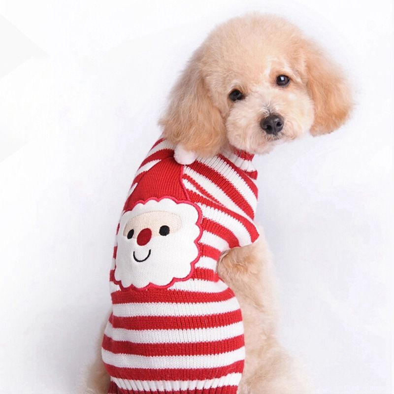 puppy dog sweaters