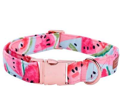 pink dog collars and leashes