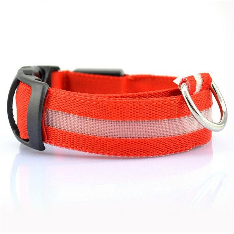 PetSafe LED Nylon Collar Night Safety Flashing Light Up Cat/Dog Collar