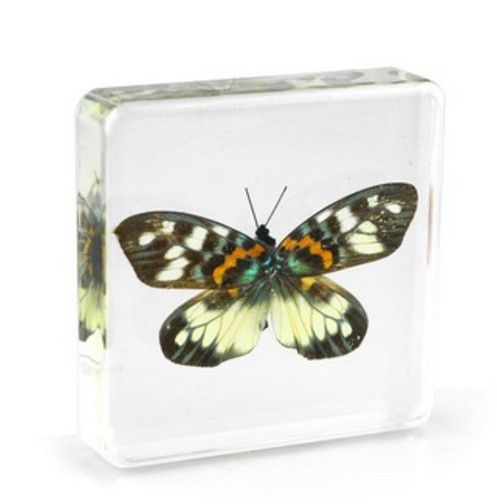 resin paperweight kit uk