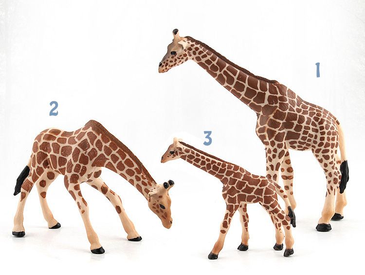 enrichment toys for giraffes