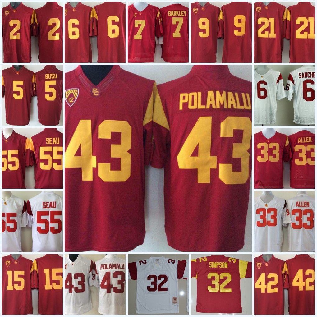 troy polamalu college jersey