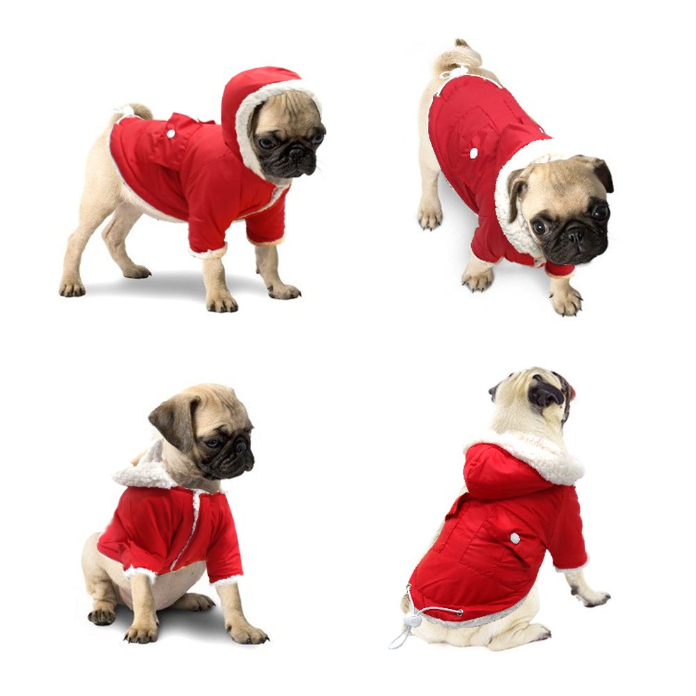 dog coats for pugs