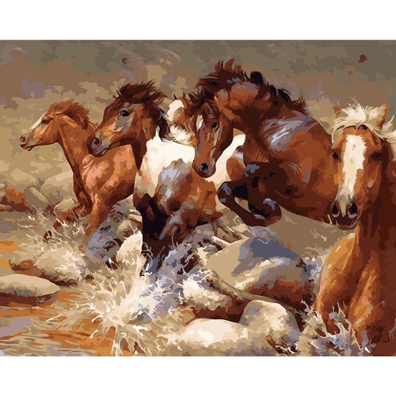 DIY Painting By Number Kit Acrylic Paint Cotton Wall Art Picture Horse Animal