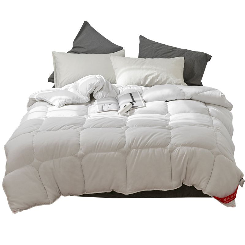 2020 100 White Down Comforter For Winter And Summer Duvet Insert