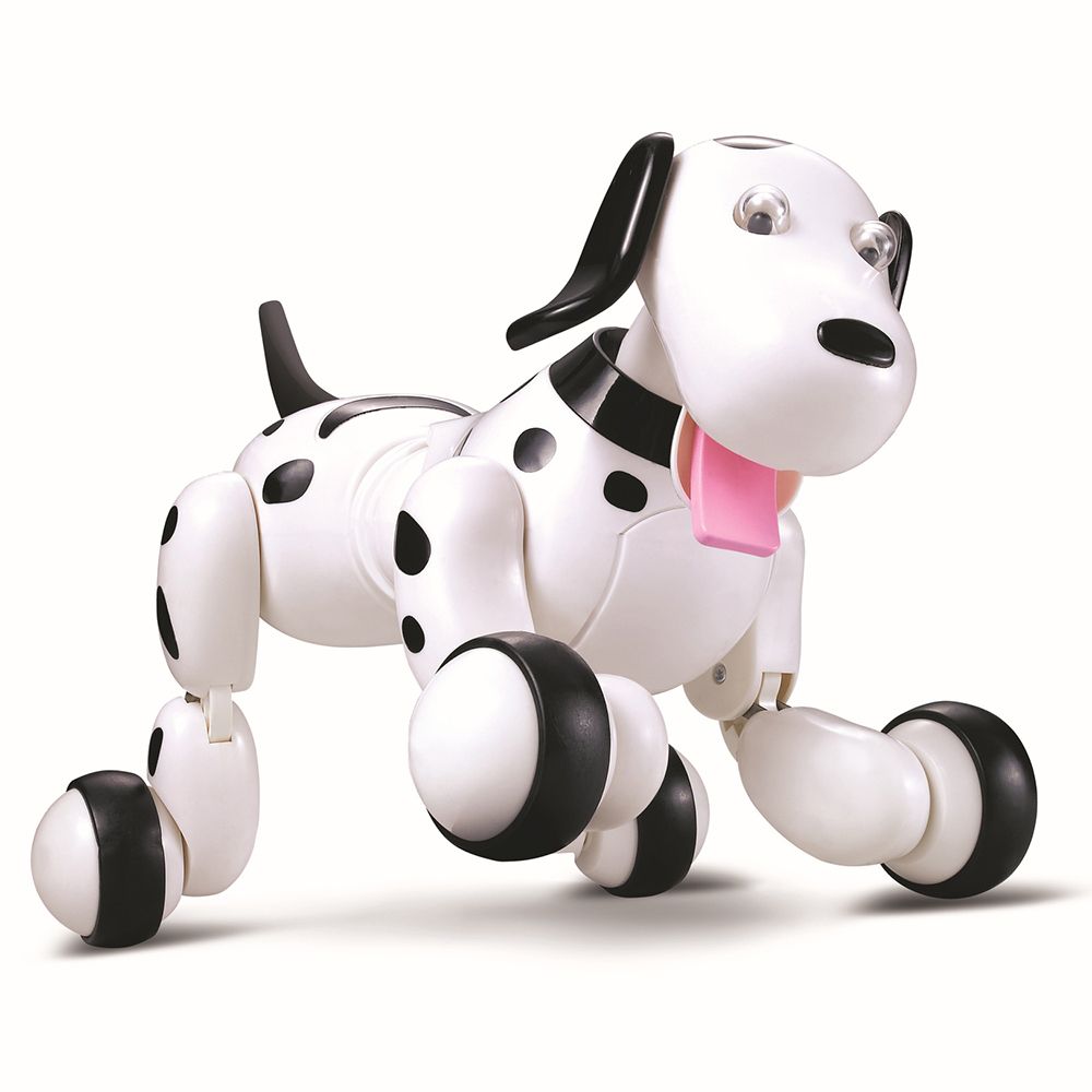 remote control dog toys