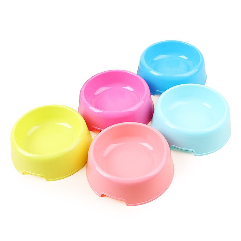 plastic water bowl