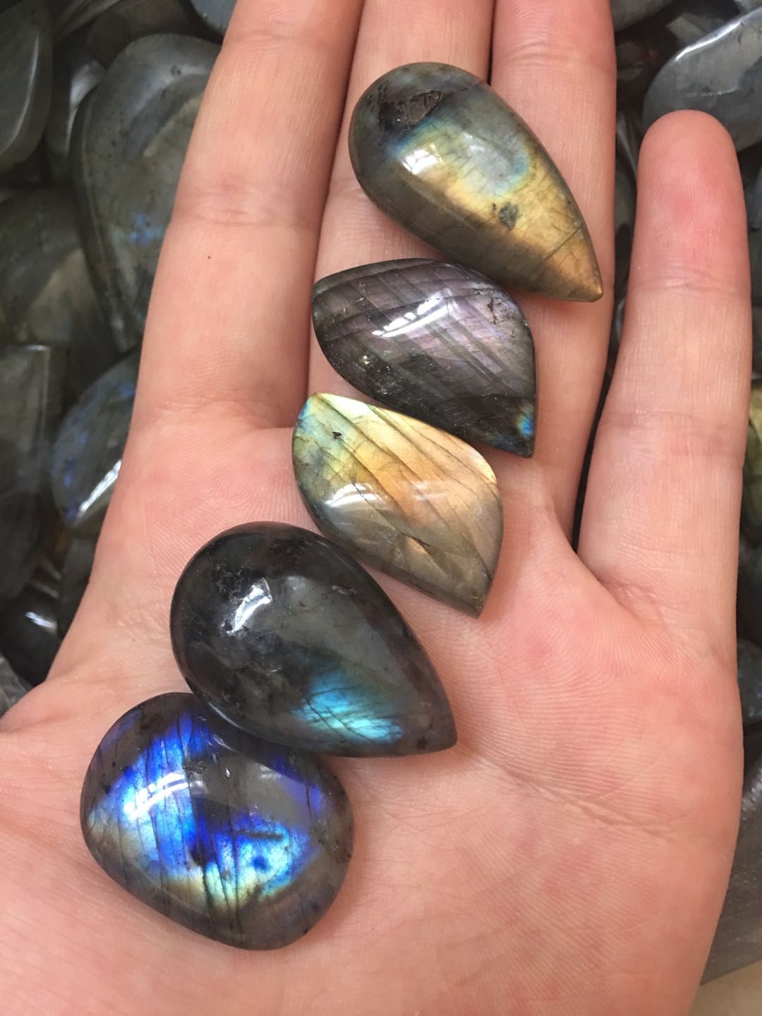 5pcs Natural Colorful Labradorite Pendant Polished Crystal Gem Stone Necklace 