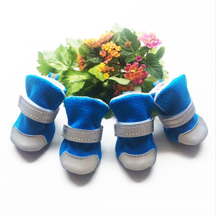 cat dog shoes