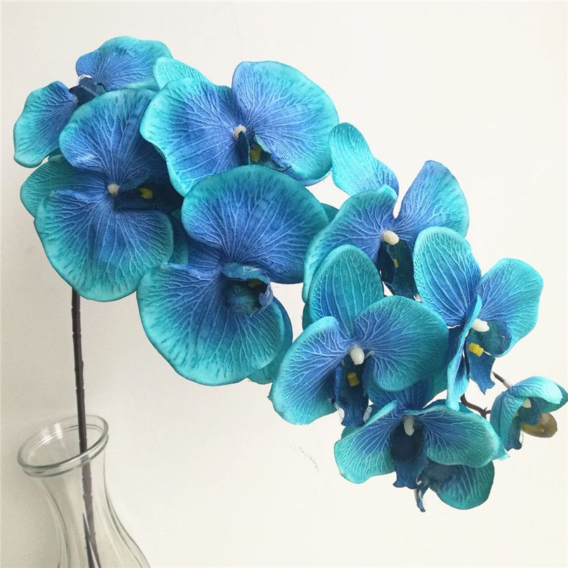 Mavi renk orkide