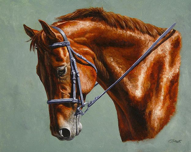 2020 Artwork Horse Painting Focus Unframed Modern Canvas Wall Art For Home And Office Decoration Oil Painting Animal Painatings Frame From Yjart8888 30 76 Dhgate Com