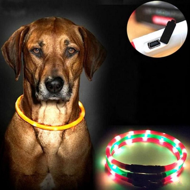 flashing led dog collar