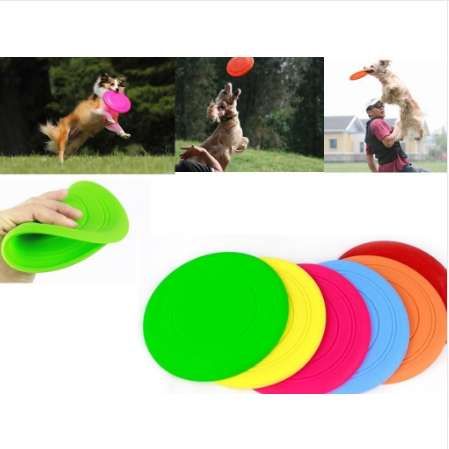fly and fetch dog toy