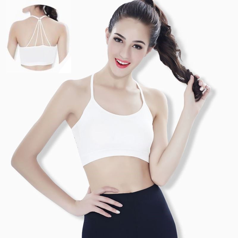 latest sports bra