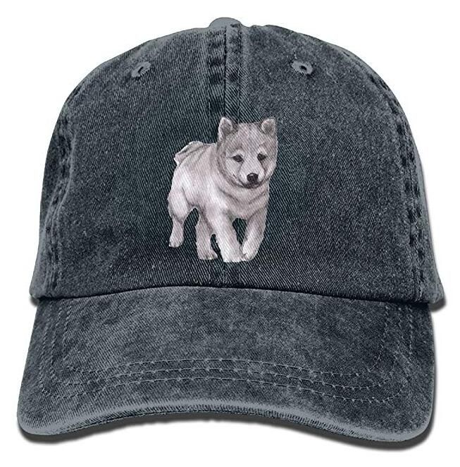Shiba Inu Adult Cowboy Hat Baseball Cap Adjustable Athletic Making Casual Hat For Men And Women Beanies Kangol From Hqy86 1046 Dhgatecom