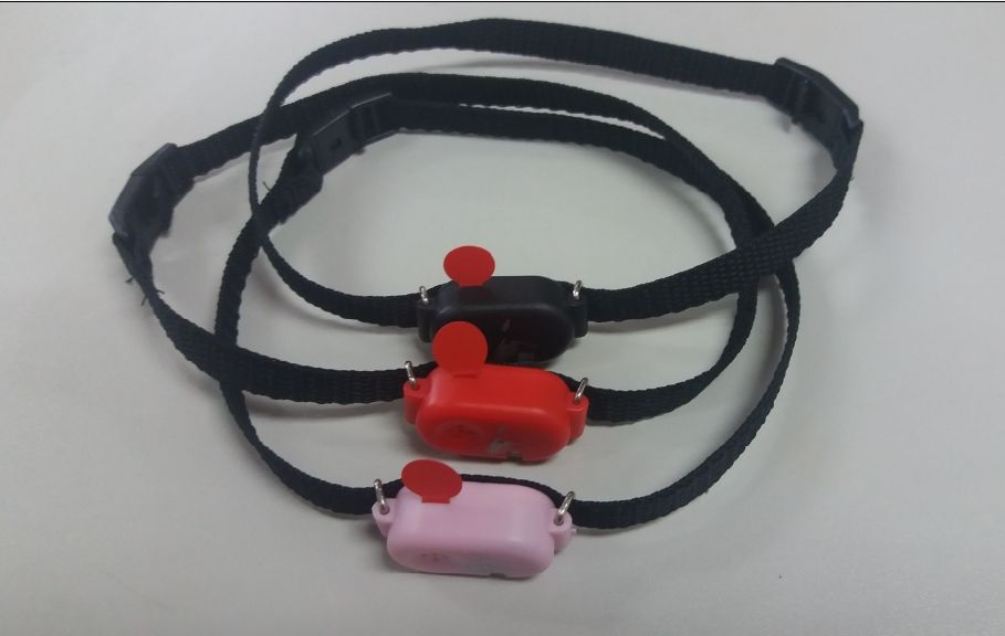 liberator cat collar