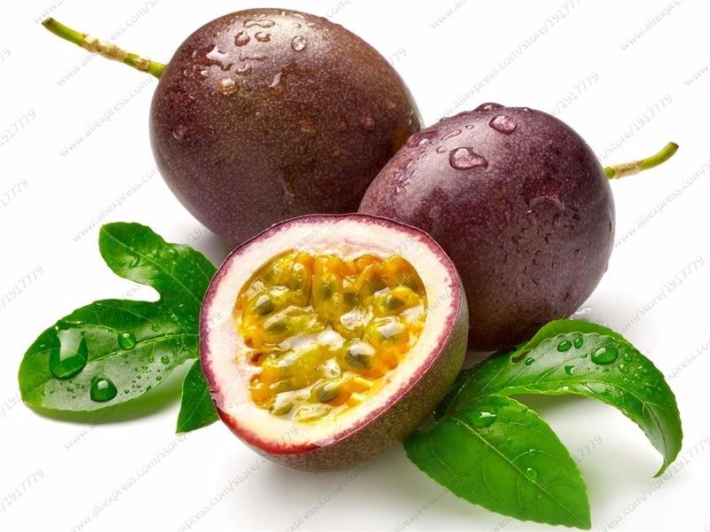 Purple Passion Fruit Seeds Rare tropical edible fruit Organic fruit tree seed fo 
