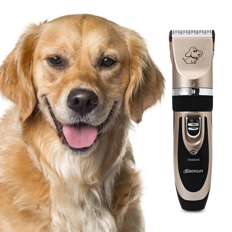pet hair trimmer