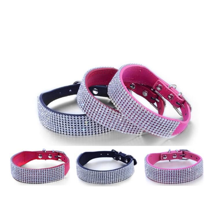 x small puppy collar