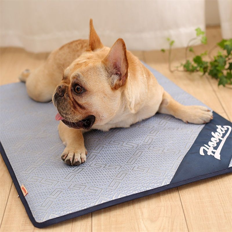 dog sleeping mat